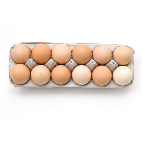 1 dozen farm fresh eggs in a carton